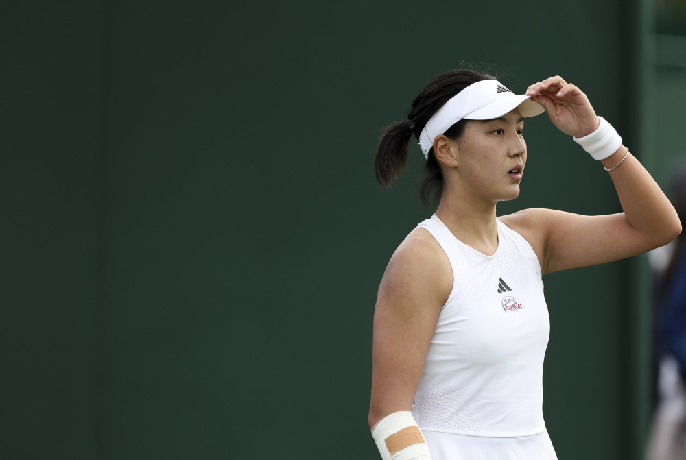 提供了更多 提供了更多