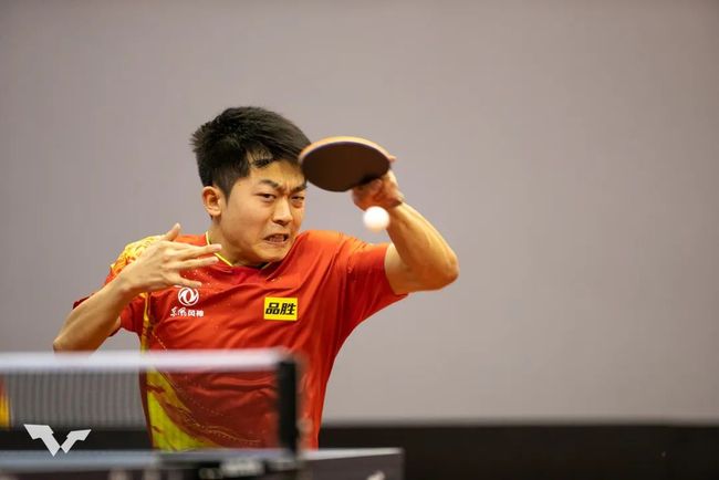 是专注球场 是专注球场